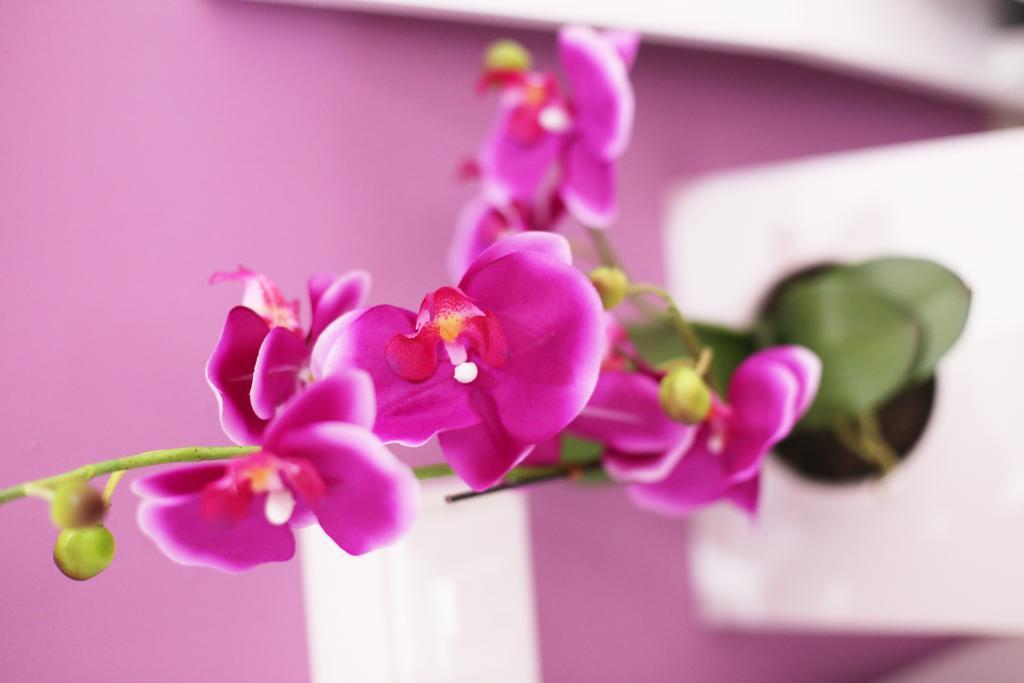 Iris Room Рим Номер фото
